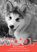 Woof - New Puppy Announcements -  Pet Photo Cards