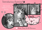  Pet Photo Cards - Kitty Paws