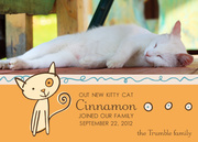  Pet Photo Cards - Cuddly