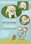 Puppy Announcements - Fetching -  Pet Photo Cards