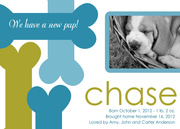 Bones - Pet Announcements