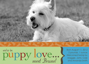 Puppy Love - Pet Announcements