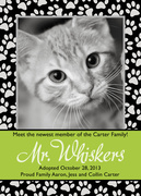 Paw Border -  Pet Photo Cards