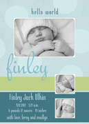 Finley-