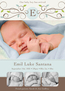 Baby Boy Announcements - Emil Luke