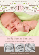 Emily Serena - Baby Girl Announcements