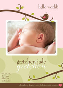 Birth Announcements - Gretchen Jade - Baby Girl Announcements