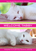 Pet Announcements - Kitten