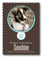 Pet Announcements - Pet Collar