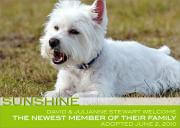Pet Announcements - Family Pet