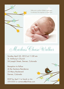  - Birdie Baptism 2