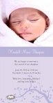 Lavender Nest