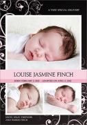 Adoption Announcements - Pink Filigree