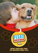 Holiday Paws-Dog Christmas Cards