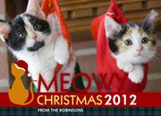 Cat's Meow-Dog Christmas Cards