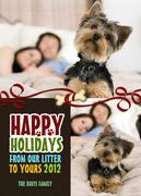 Dog Christmas Cards - All In The Family