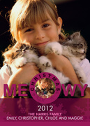 Dog Christmas Cards - Christmas Kitty