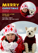 Dog Christmas Cards - Christmas Litter