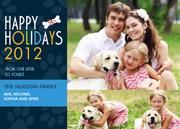 Dog Christmas Cards - Holiday Night Treats
