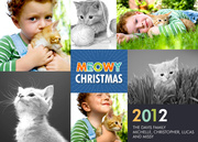 Dog Christmas Cards - Christmas Yarn
