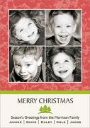 Rose Christmas-