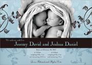 Bud Bed -  Twin Baby Announcements